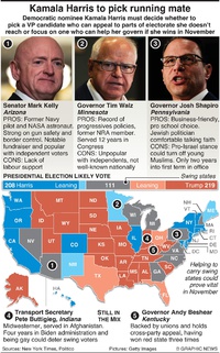 Pro Gun Infographic NJ Gun & Weapon Offense Lawyers